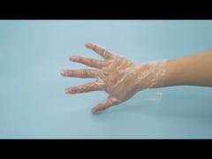 Wholesale Odorless Non-Toxic Disposable Use Transparent LDPE/HDPE Gloves For Food-Preparation